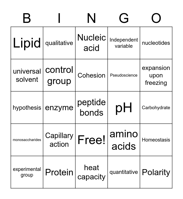 Scientific Method Bingo Card