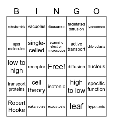 Chapter 8 Cells Bingo Card