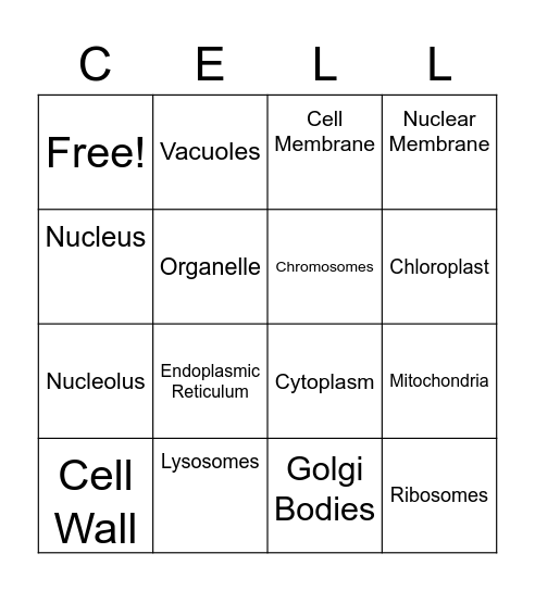 Cells Bingo Card