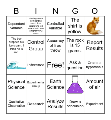 Scientific Method Bingo Card