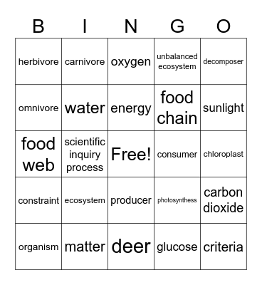 Form and function Bingo Card