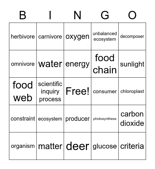 Form and function Bingo Card