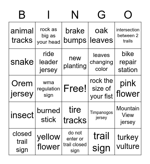 Mentor Ride Bingo Card