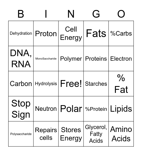 Biology Bingo Card