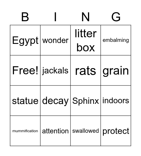 Cats Every Day Bingo Card