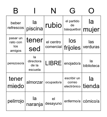 Avancemos 2 - Lección Preliminar (Un repaso) Bingo Card