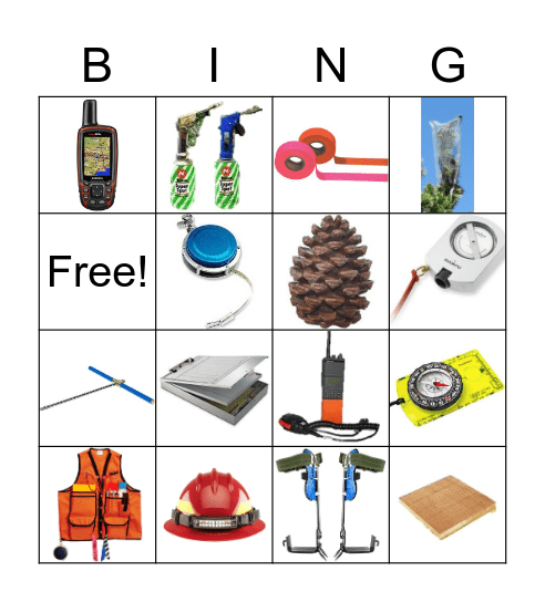 Forestry Bingo Card