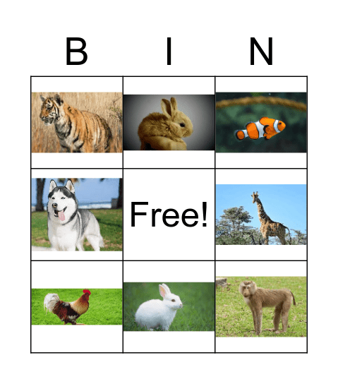 Bingo animals Bingo Card