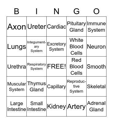Human Body Systems Bingo Card