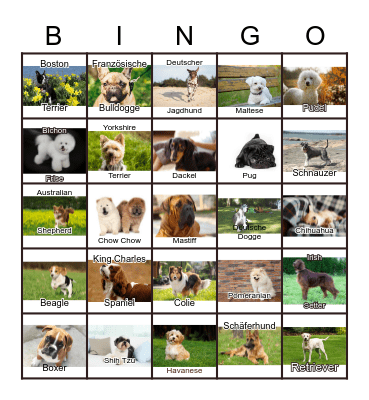 Dogs Bingo Card