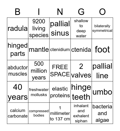 Class Bivalvia  Bingo Card