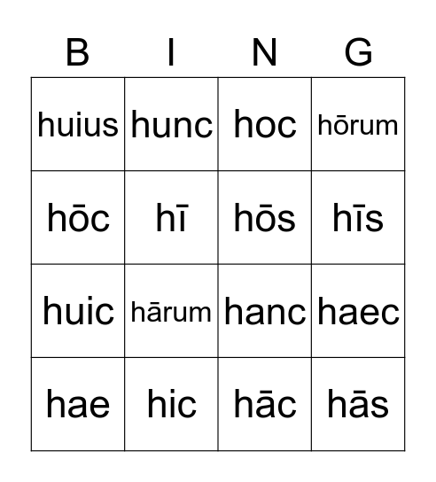 hic, haec, hoc Bingo Card