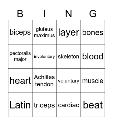 Muscles Bingo Card
