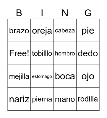 Body (El cuerpo) Bingo Card
