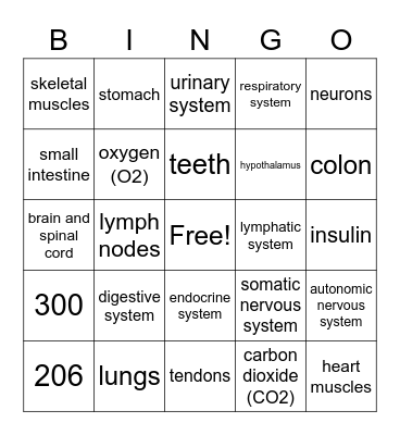 Body Systems Bingo Card