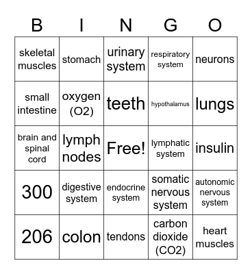 Body Systems Bingo Card