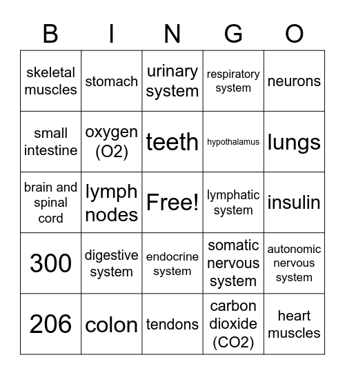 Body Systems Bingo Card