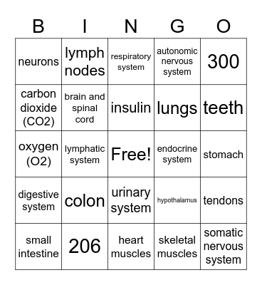 Body Systems Bingo Card