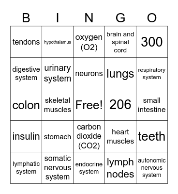 Body Systems Bingo Card