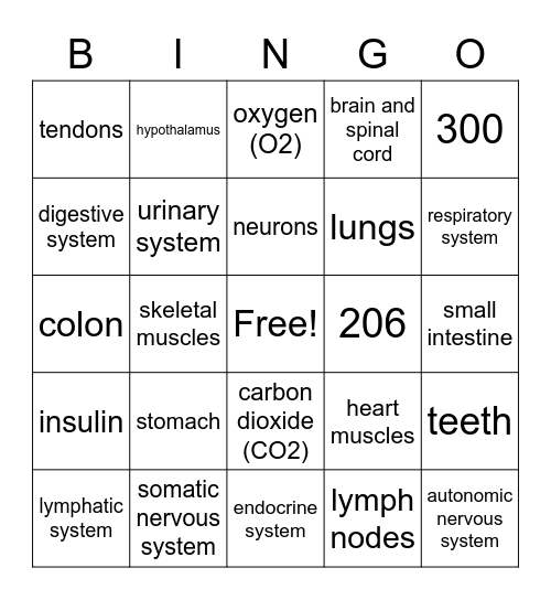 Body Systems Bingo Card