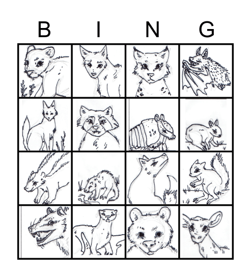 Florida Mammals Bingo Card