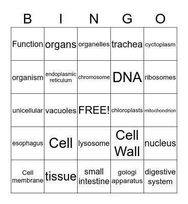 Life Science Bingo Card