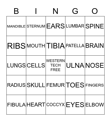 WESTERN TECH WELLNESS FAIR 2015 Bingo Card