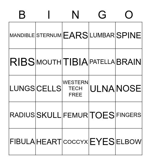 WESTERN TECH WELLNESS FAIR 2015 Bingo Card