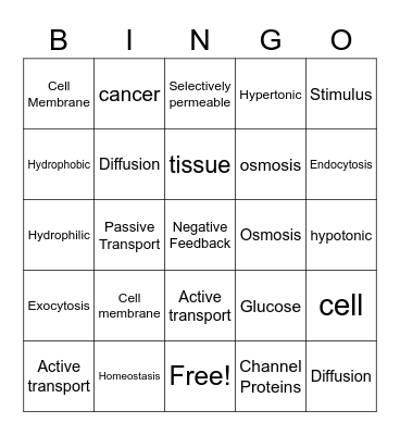 Homeostasis Bingo Card