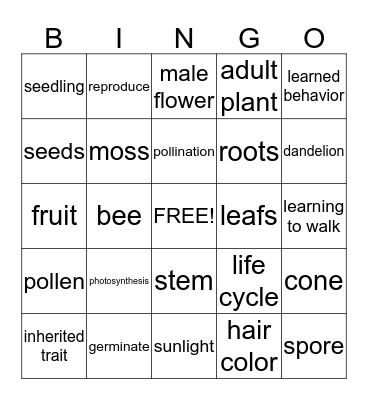 All about plant life cycles Bingo Card