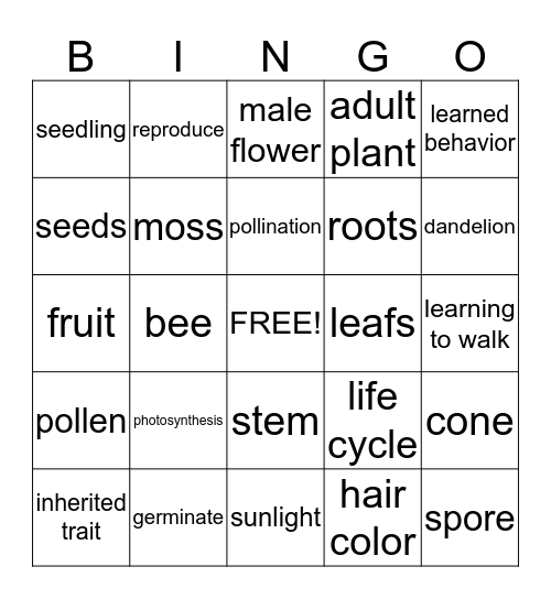 All about plant life cycles Bingo Card