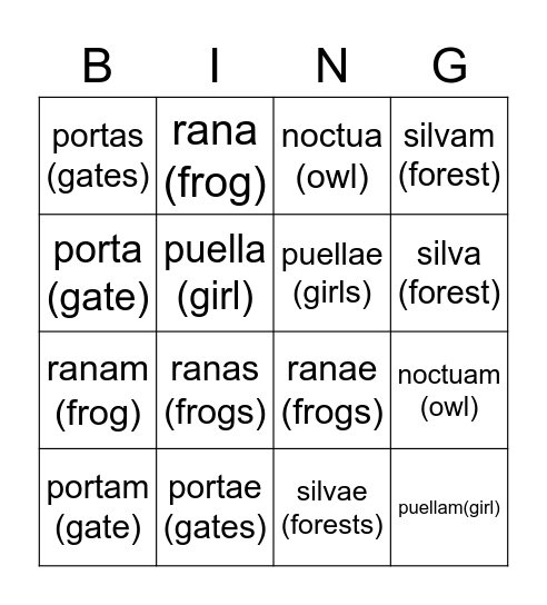 Latin Nominative and Accusative Bingo Card