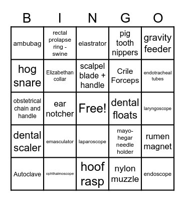 Vet Tools ID Bingo Card
