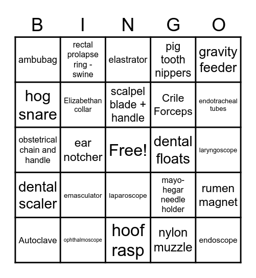 Vet Tools ID Bingo Card