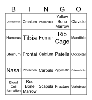 Skeletal System Bingo Card