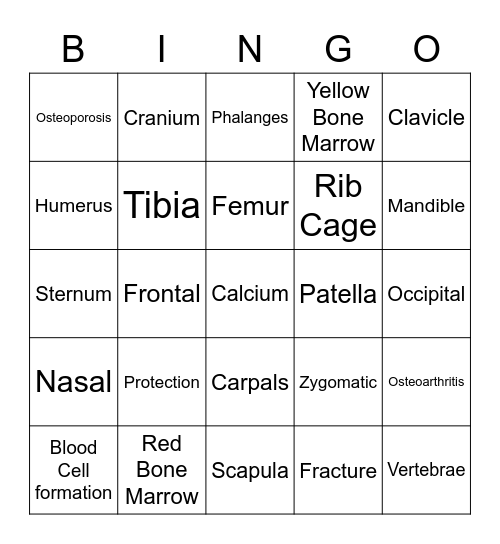 Skeletal System Bingo Card