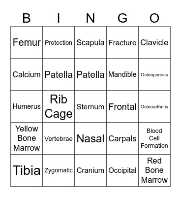 Skeletal System Bingo Card