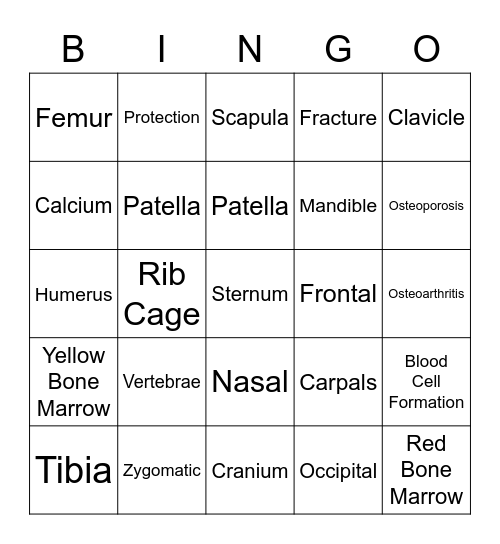 Skeletal System Bingo Card