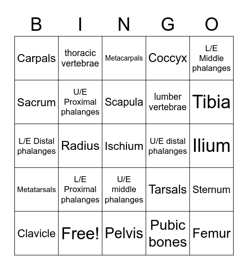 Bony Bingo Card