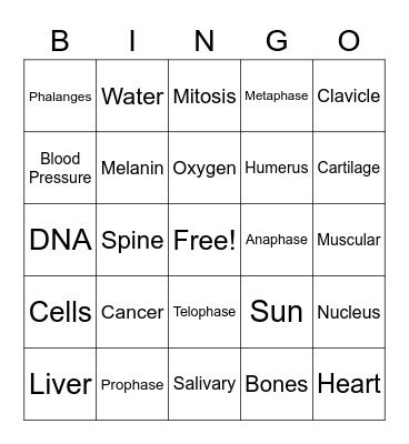 Cells and Body Systems Bingo Card
