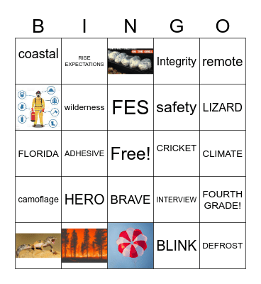The Amazing Gecko & Smoke Jumpers Bingo Card