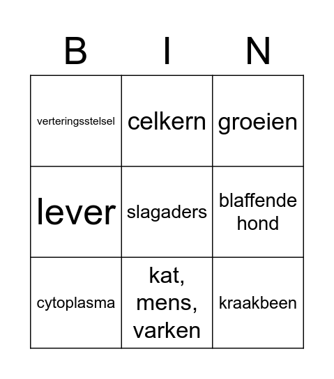 1.1 en 1.6 Bingo Card