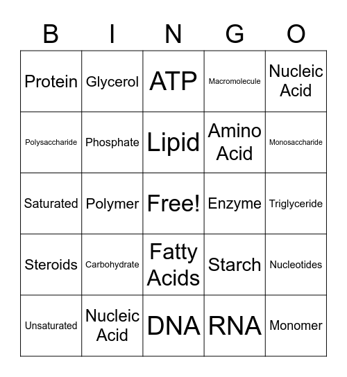 Macromolecule Bingo Card