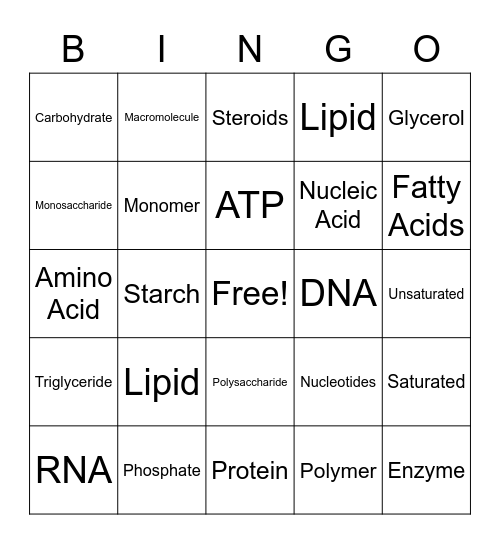 Macromolecule Bingo Card