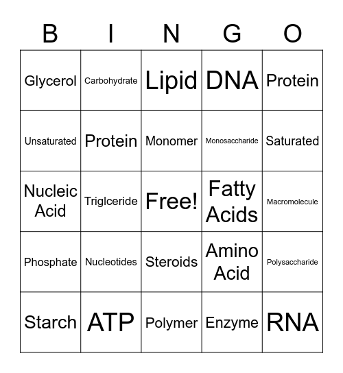 Macromolecule Bingo Card