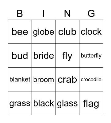 OPW 4 Unit 1 Bingo Card