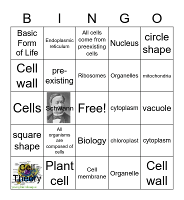 Deante Simon       Cell theory Bingo Card