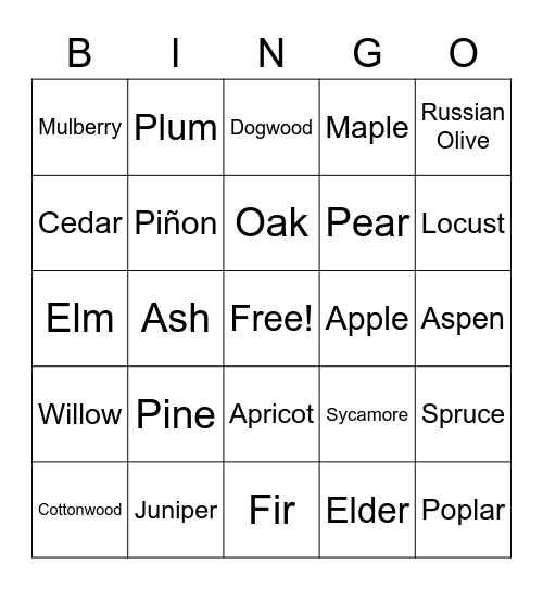 TREE BINGO! Bingo Card