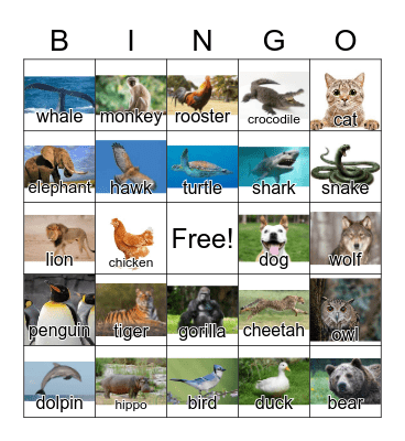 Animal Bingo Card
