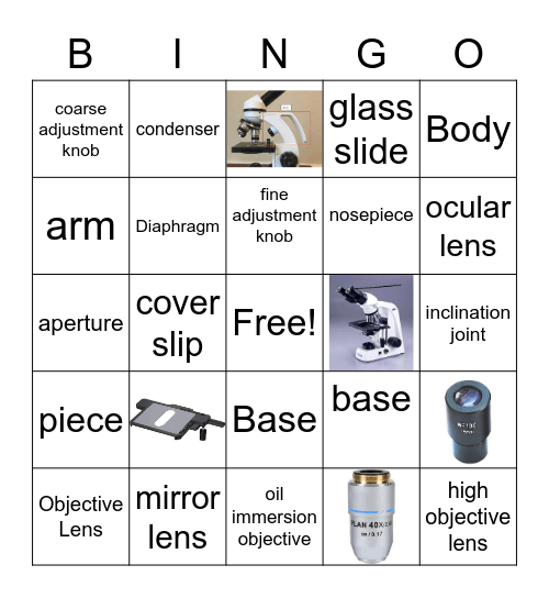 PARTS OF A MICROSCOPE Bingo Card